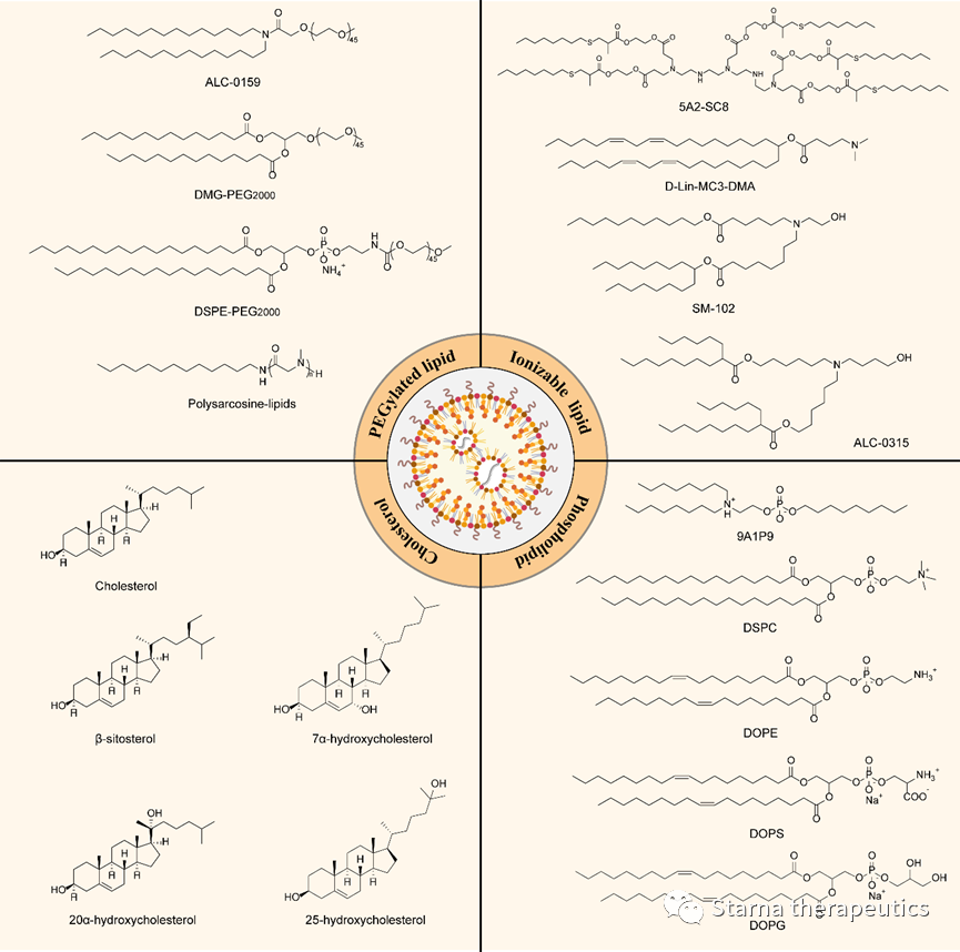 Advanced Materials程强/魏妥发表长篇综述，阐述mRNA-LNP技术在癌症治疗中的应用